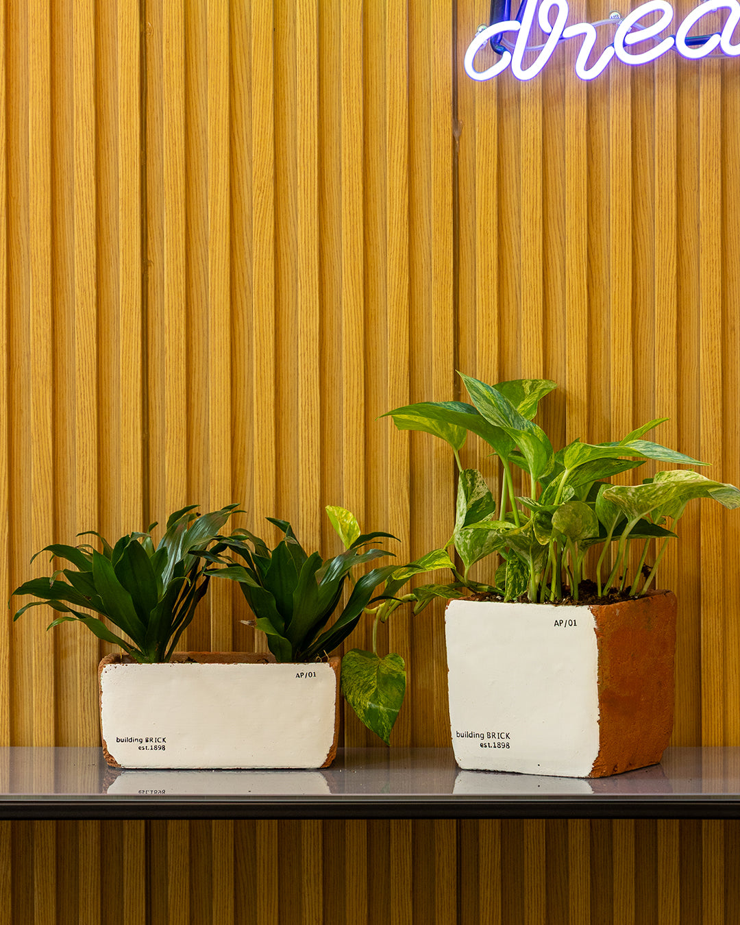 Sirona Saksı 3'lü Set