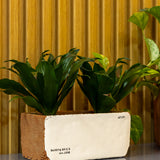 Sirona Saksı 3'lü Set