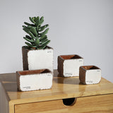 Sirona Saksı 4 Kahverengi