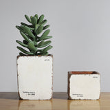 Sirona Saksı 4 Kahverengi