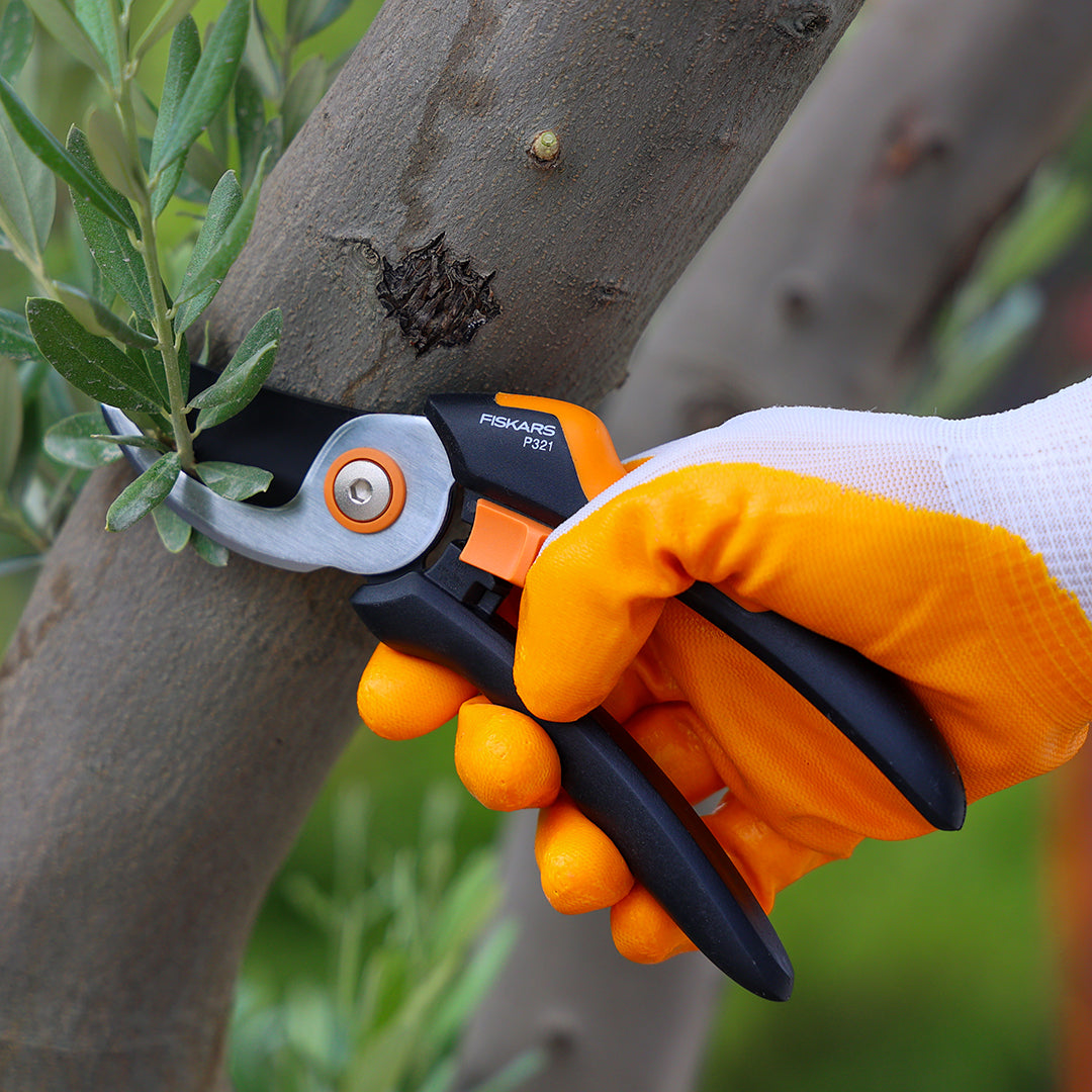 Solid Bypass Budama Makası MP321