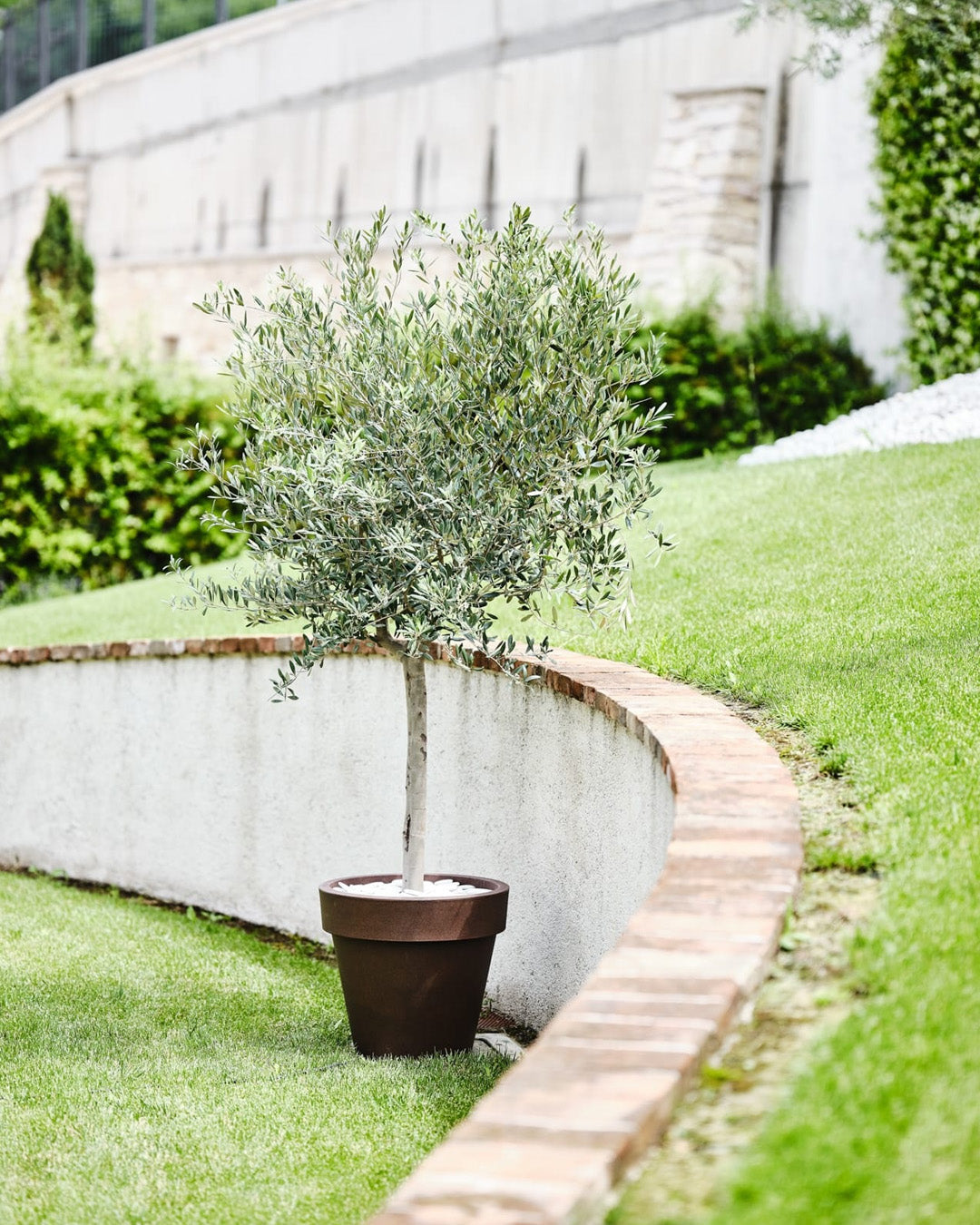 Standart One 50 Plastik Saksı Kapuçino