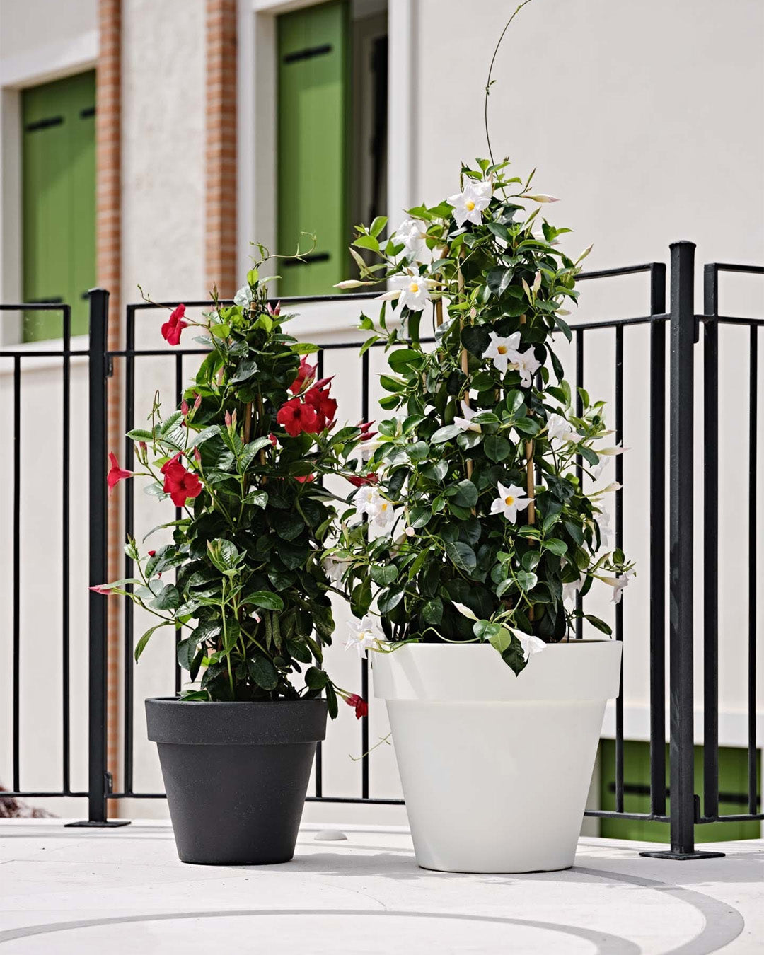 Standart One 50 Plastik Saksı Terracotta