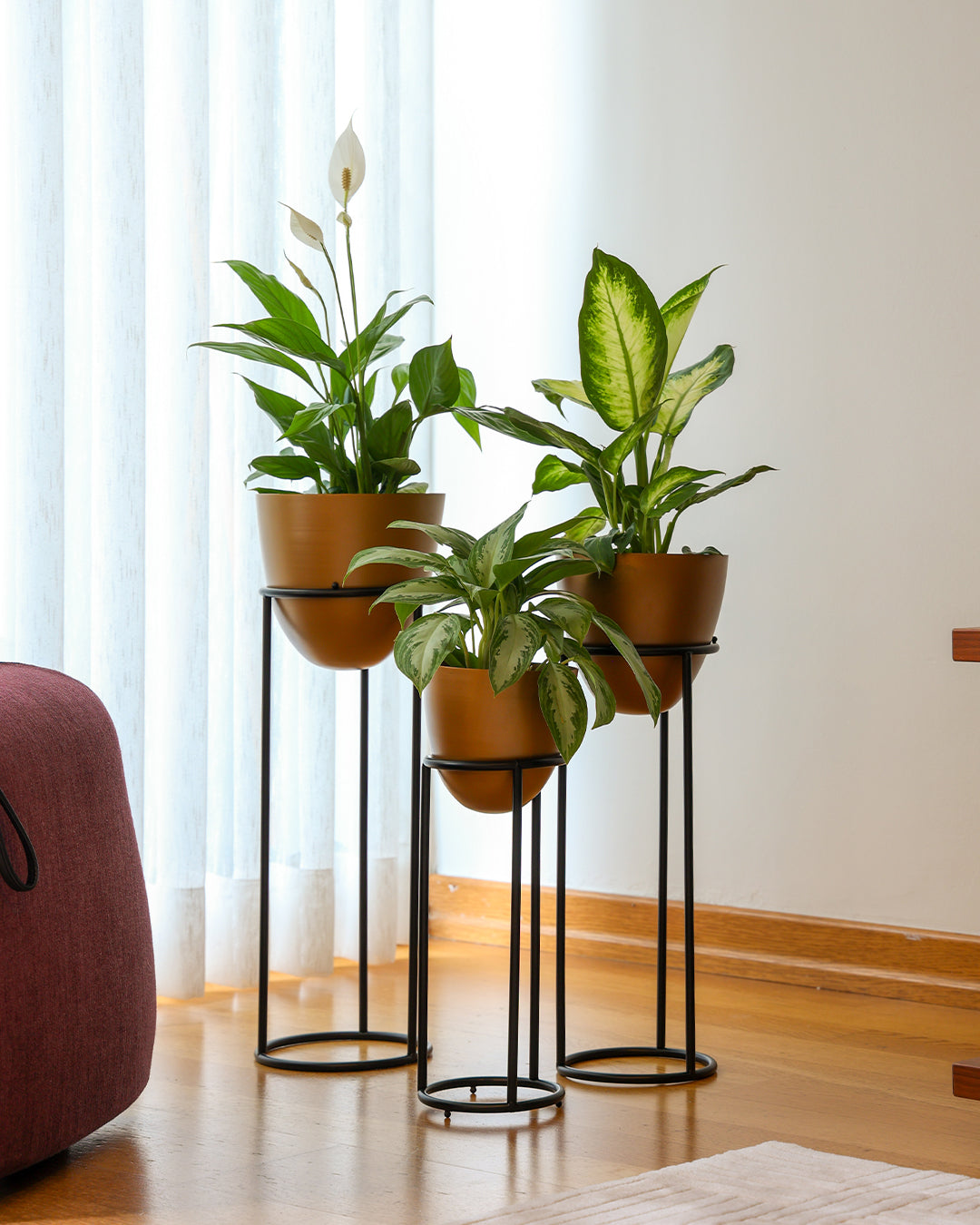 Summus Metal Ayaklı Saksı Küçük Bronz