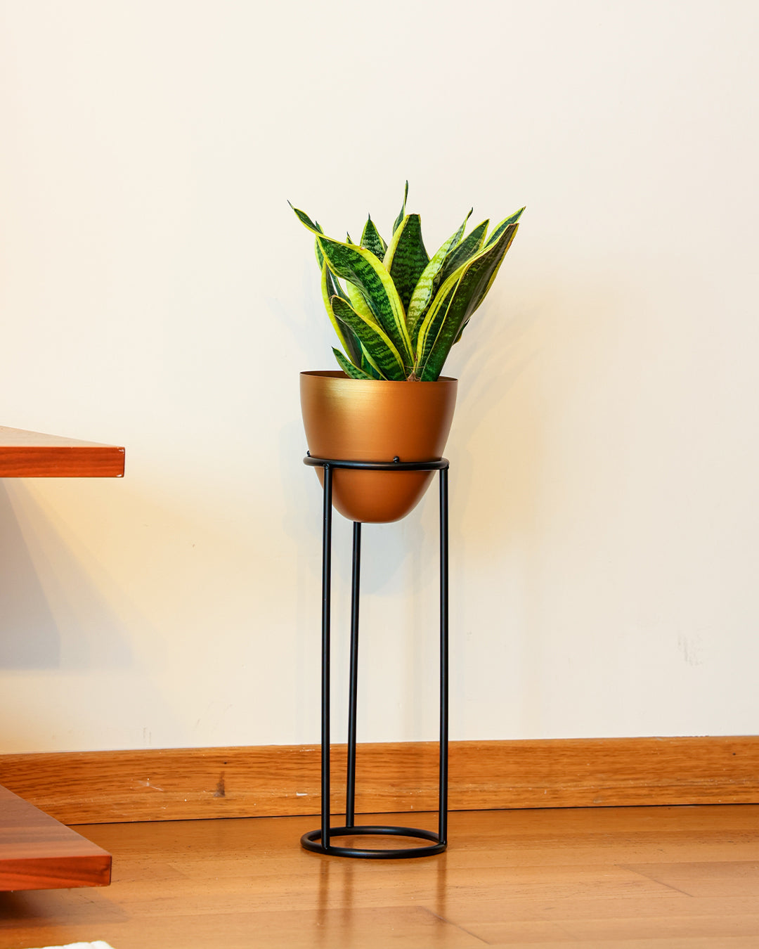 Summus Metal Ayaklı Saksı Orta Boy Bronz