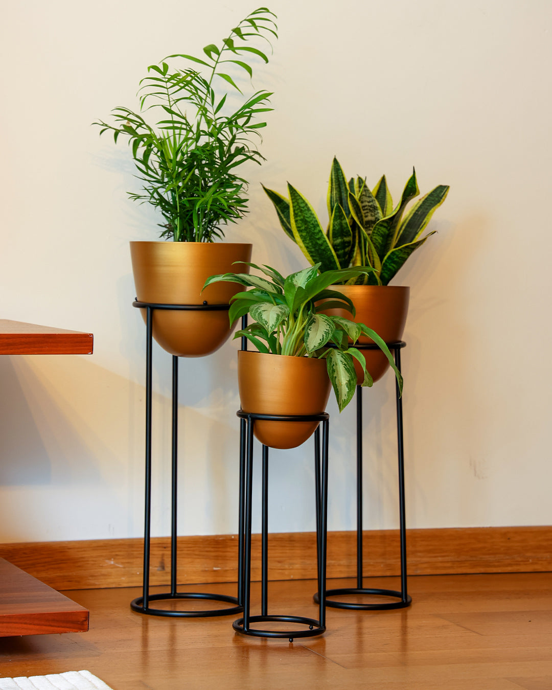 Summus Metal Ayaklı Saksı Orta Boy Bronz