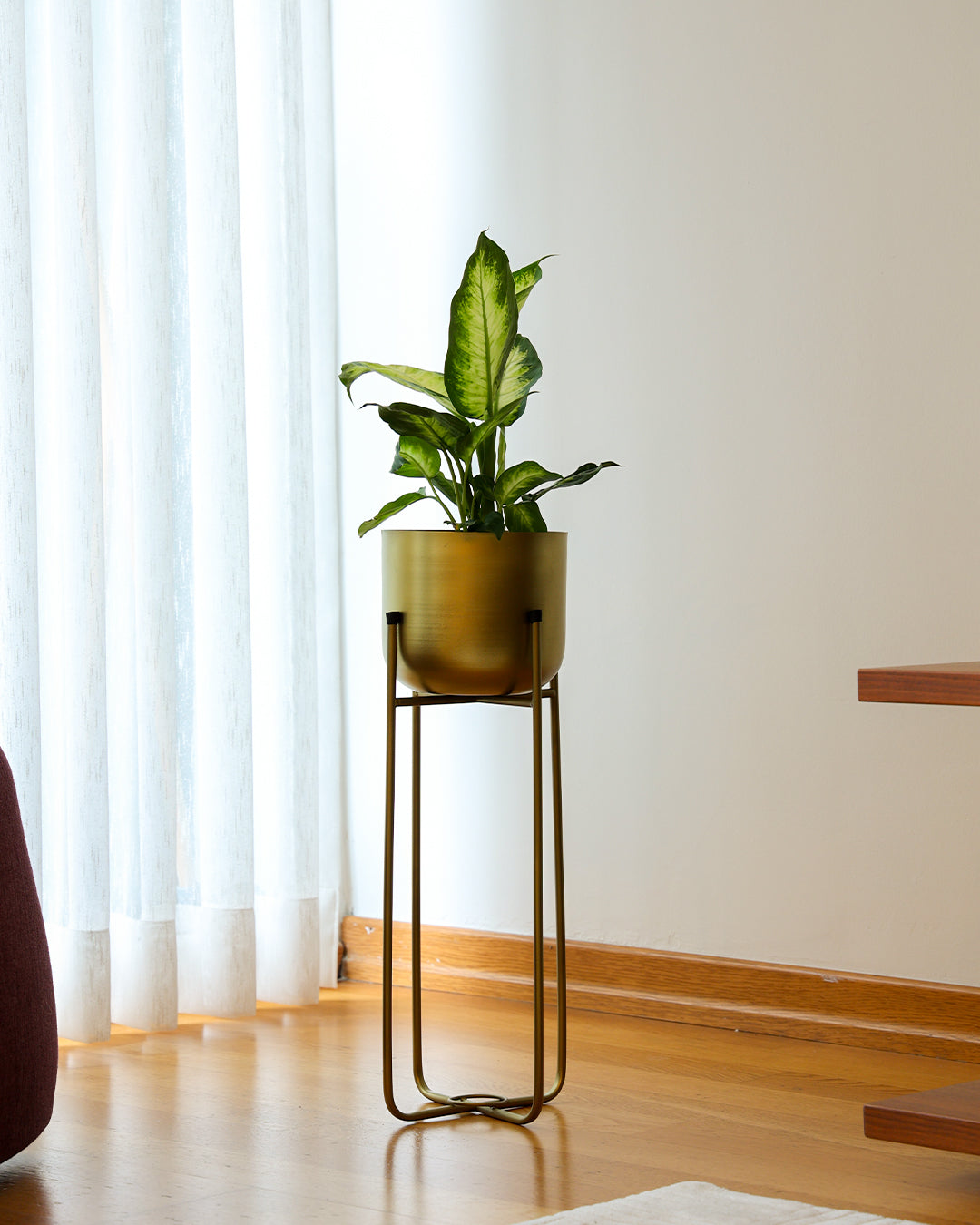 Superbia Ayaklı Metal Saksı Orta Boy Sarı