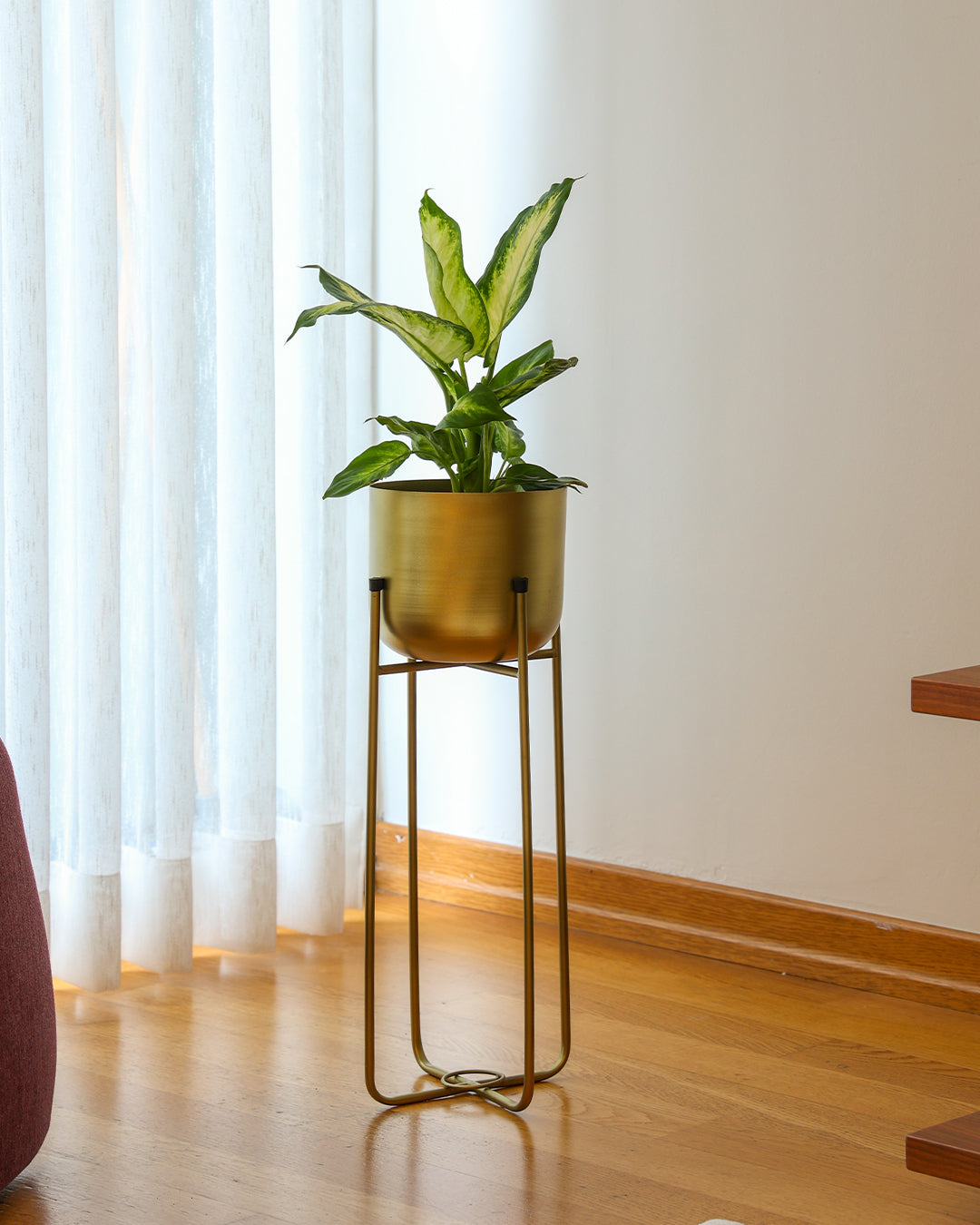 Superbia Metal Ayaklı Saksı Orta Sarı