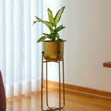 Superbia Metal Ayaklı Saksı Orta Sarı