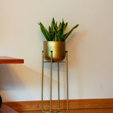 Superbia Metal Ayaklı Saksı Orta Sarı