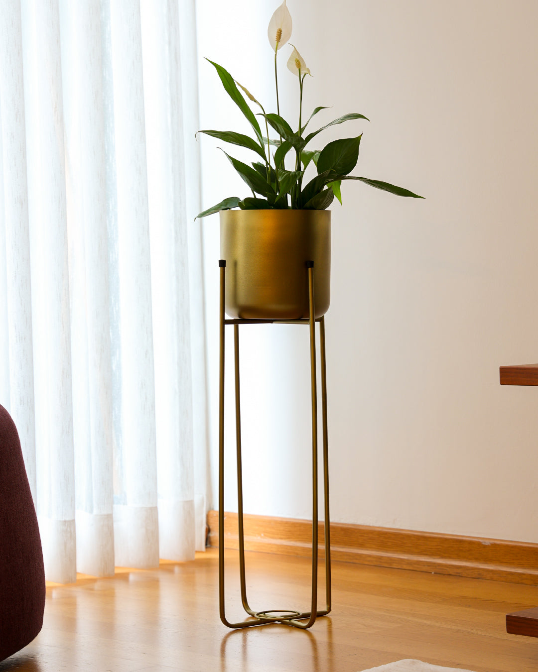 Superbia Metal Ayaklı Saksı Büyük Boy Sarı