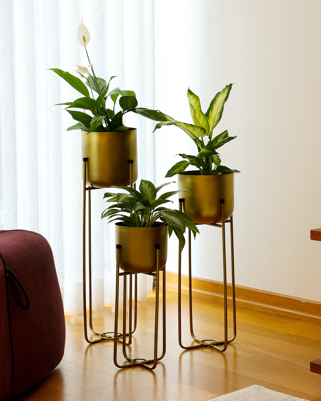 Superbia Metal Ayaklı Saksı Büyük Boy Sarı