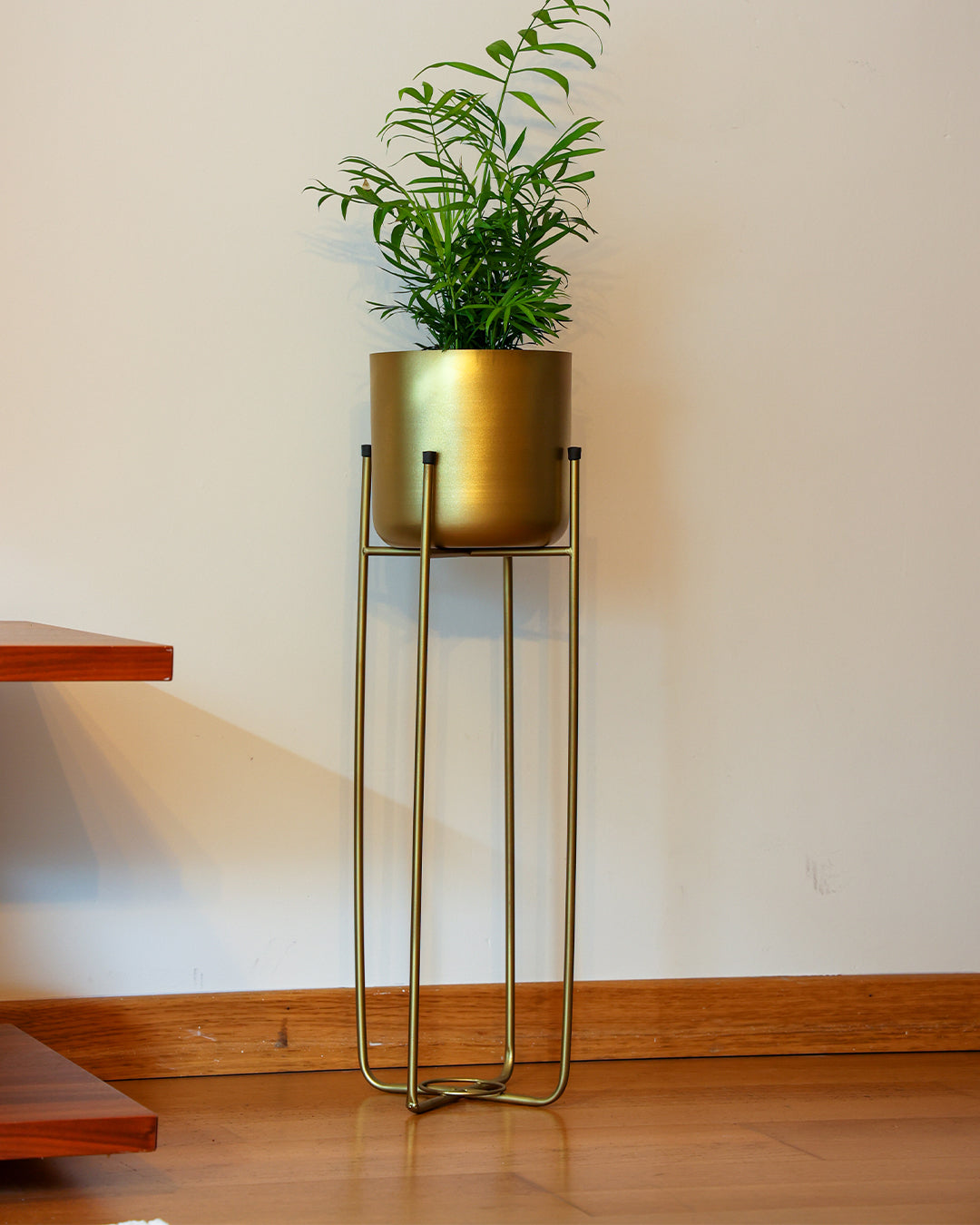 Superbia Metal Ayaklı Saksı Büyük Boy Sarı