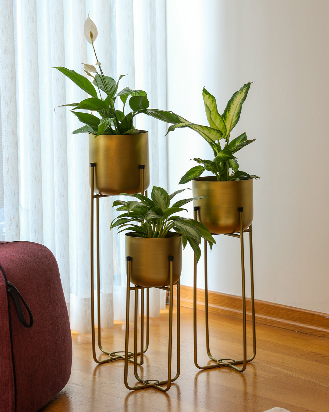 Superbia Metal Ayaklı Saksı Büyük Sarı