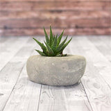 Taş Saksı 1 Gri