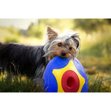 Trotto Disk Köpek Oyuncağı Renkli