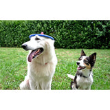 Trotto Disk Köpek Oyuncağı Renkli