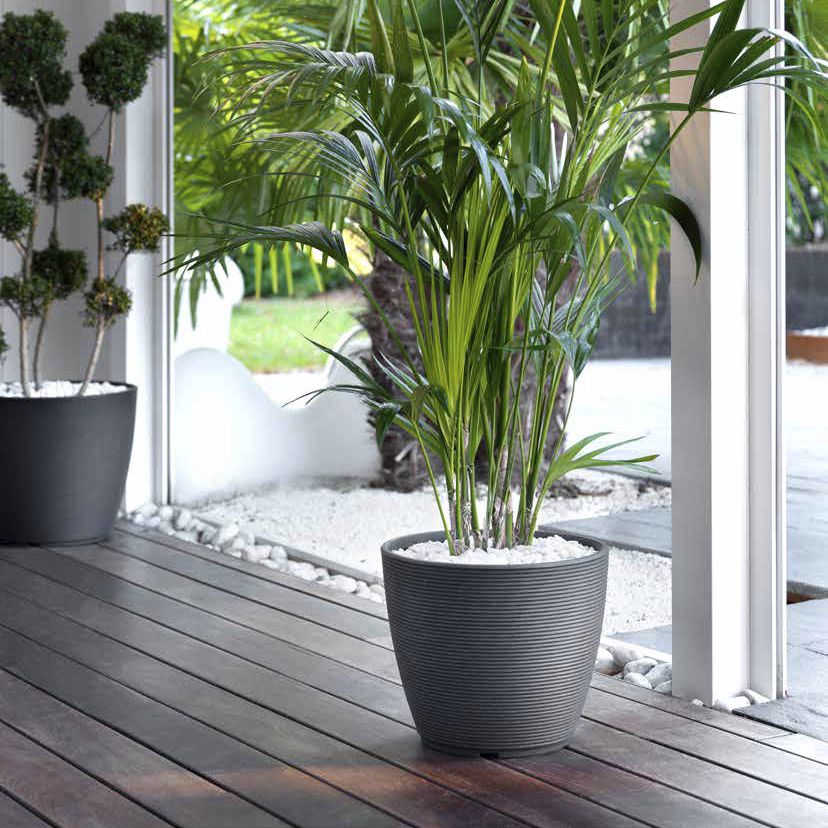 Urban Ring 48 Plastik Saksı Beyaz