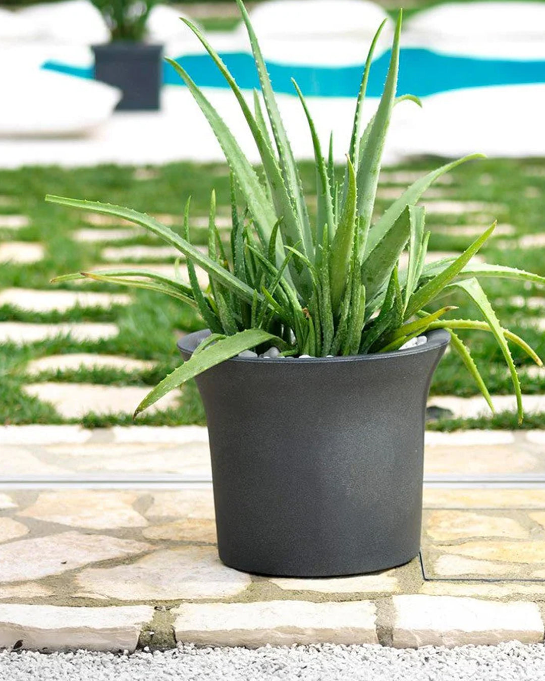 Vaso Flora Classic 45 Plastik Saksı Antrasit