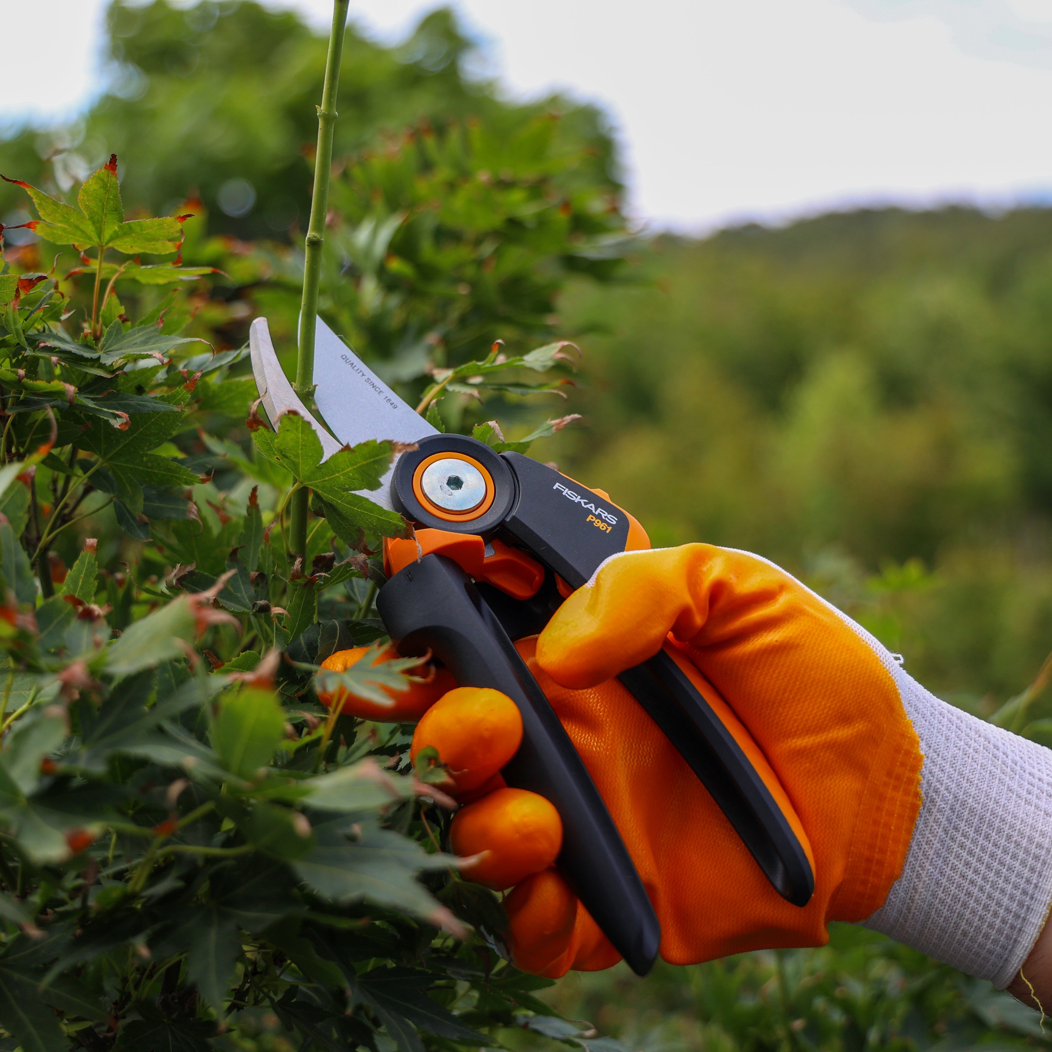 X Serisi Bypass Budama Makası L P961