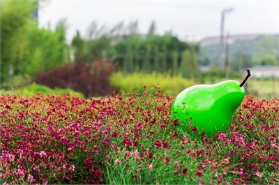 Dekoratif Armut Büyük Yeşil