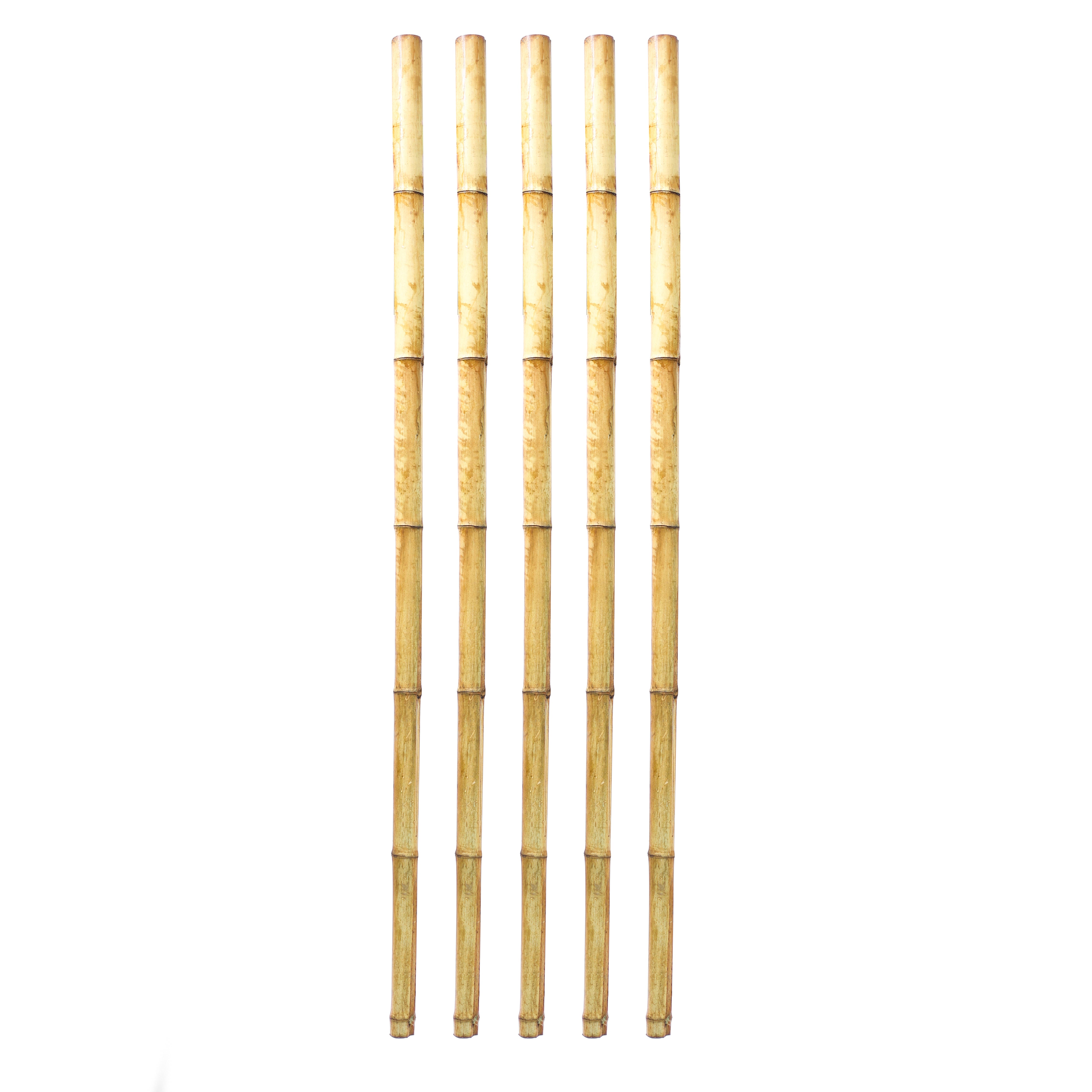 Dekoratif Bambu M