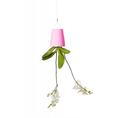 Sky Planter - Ters Saksı